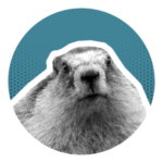 Profile photo of M4RM07<span class="bp-verified-badge"></span>